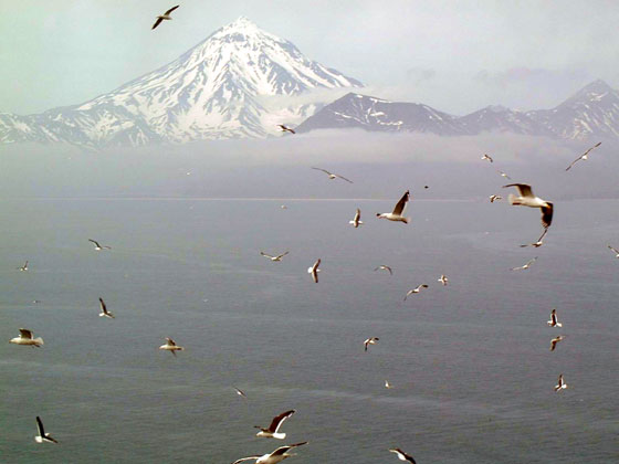 Вид с острова Старичков на Вилючинский вулкан