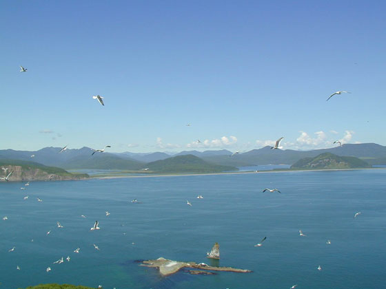 Вид с острова Стричков на бухты Большая и Малая Саранная