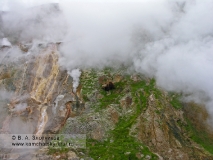 Камчатский бурый медведь у Витража в Долине гейзеров