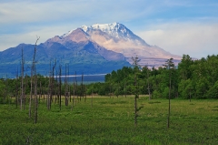Вулкан Шивелуч (Shiveluch Volcano) в Камчатском крае