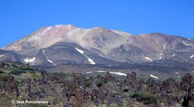 Вулкан Комарова на Камчатке. Вид с востока