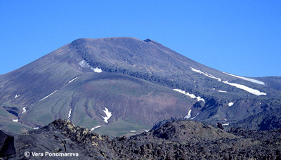 Вулкан Высокий на Камчатке (вид с северо-запада)
