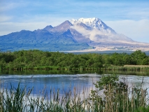 Вулкан Шивелуч (Shiveluch Volcano) на Камчатке