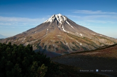 Вилючинская сопка (Viliuchinsky Volcano)